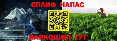 хмурый Новокубанск
