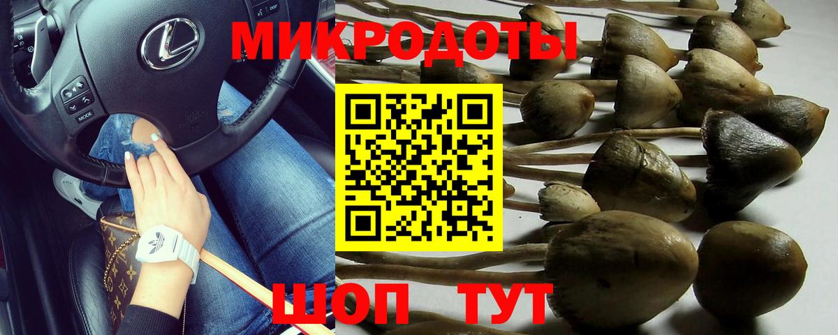 Галлюциногенные грибы прущие грибы  Вход с VPN  Сердобск  Псилоцибиновые грибы MAGIC MUSHROOMS 