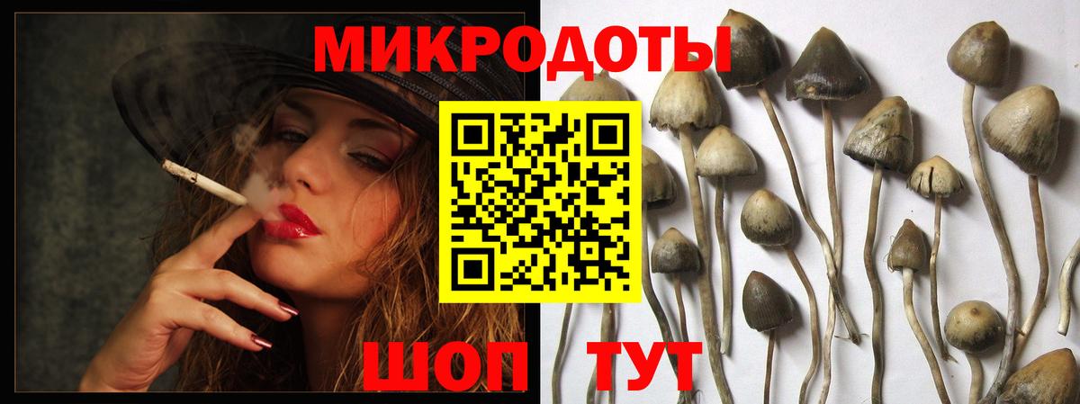 Псилоцибиновые грибы мухоморы Сердобск